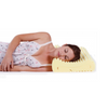 EA2130 Complete Sleeper Traditional Foam Pillow