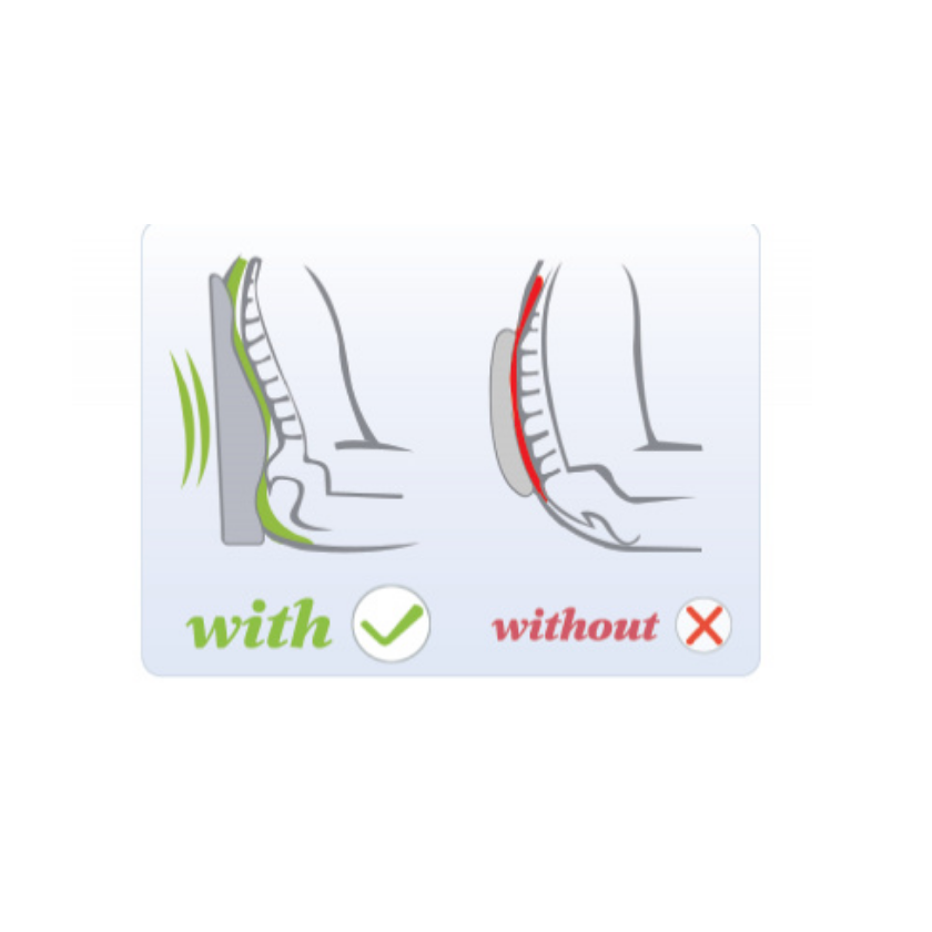 Total Spine and Back Support Cushion Endeavour Life Care