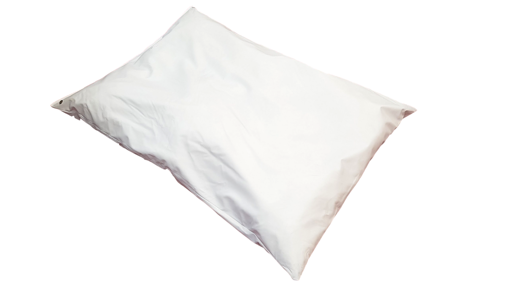 iCare Pillow Protector (Pair)